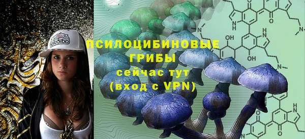 прущий лед Бронницы
