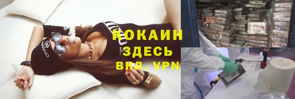 трава Верея