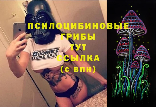 гидропоника Бугульма