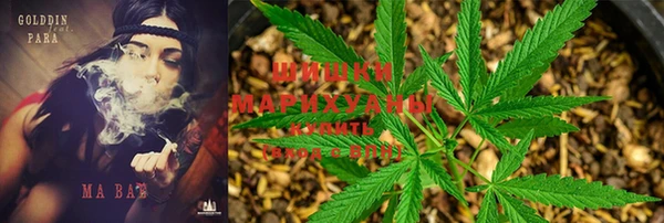гидропоника Бугульма