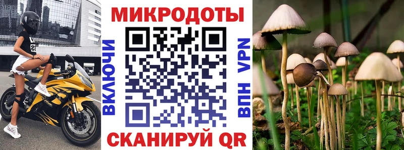 Псилоцибиновые грибы прущие грибы  Купить  Кингисепп 